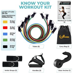 Best Resistance Fitness Bands Best Resistance Fitness Bands